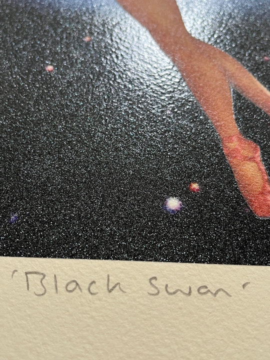 Black Swan - UV print with silkscreened glitter varnish - Hunt Tokyo